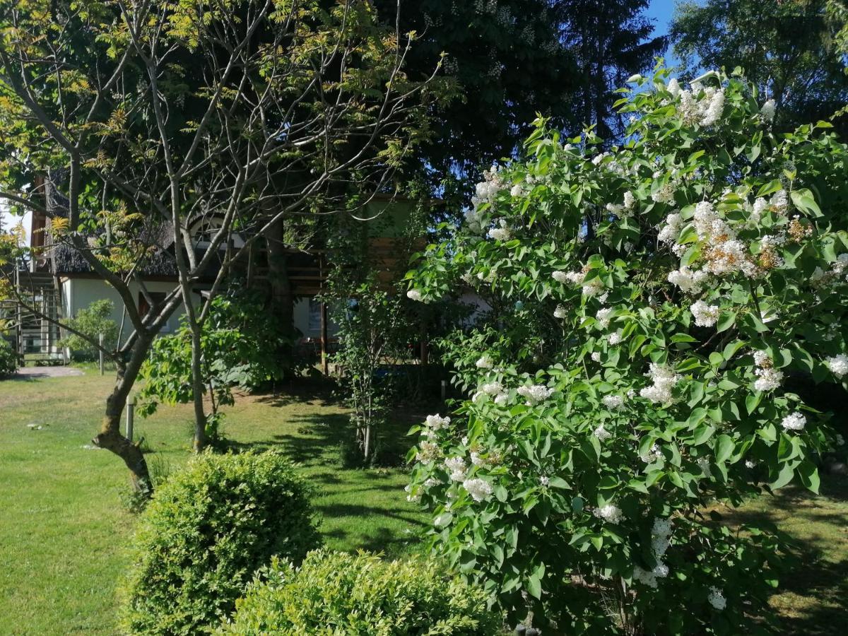 Ferienwohnung Am Haffberg Neverow Exteriör bild